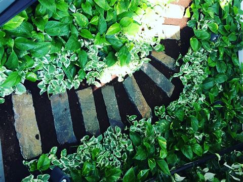 Grădină verticală cu plante naturale – Vilă rezidențială, foto 8 din 9
